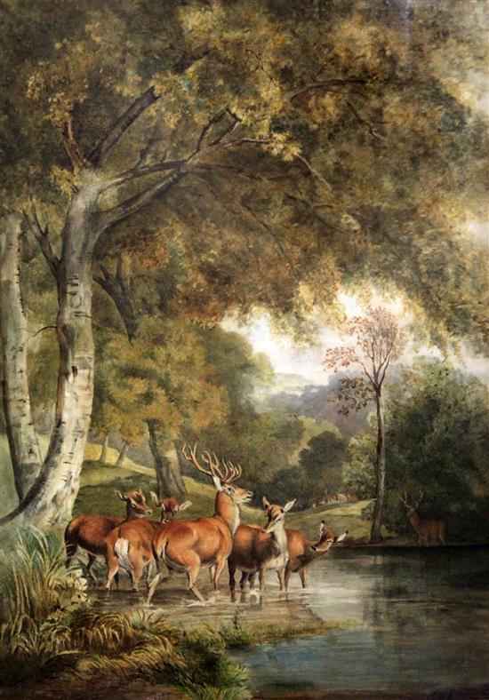 Attributed Robert Hills (1769-1844) Deer in Windsor Park 17.5 x 13in.